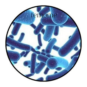 Bifidobacterium Lactis (Probiotic Strain)