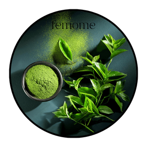 Green Tea Extract